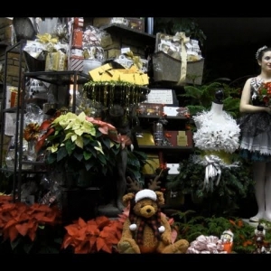 After hours at the Flower Shop, Nutcracker Christmas, Happy Holidays from Stein Your Florist - YouTube