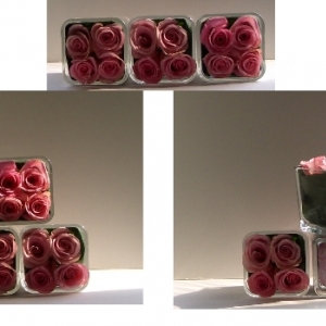 Rose Cubes