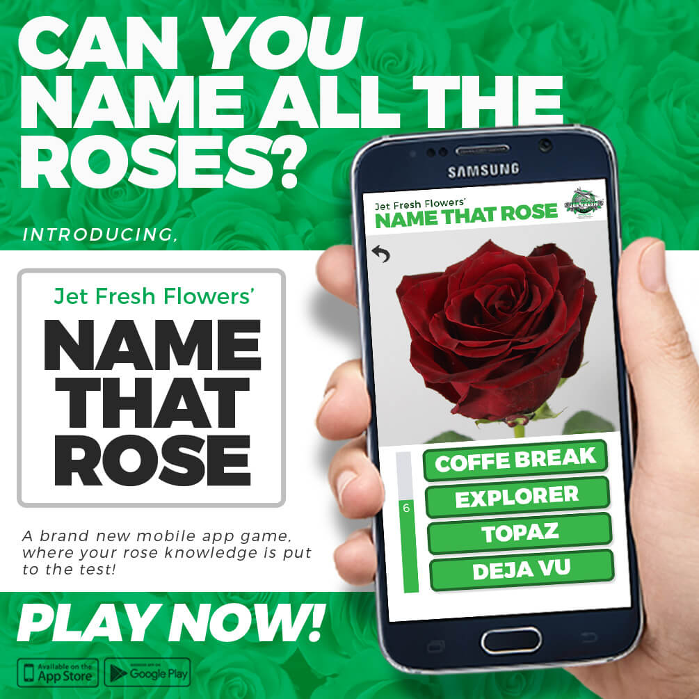 Jet Fresh Name That Rose App
