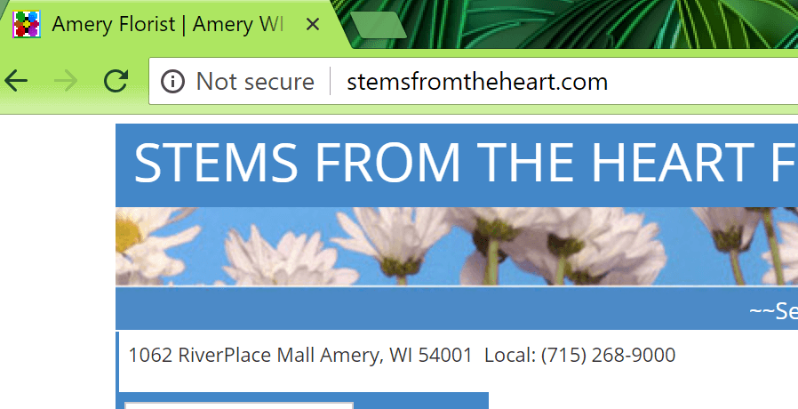 Not Secure - Stems