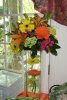 March 2010 254revi.jpg