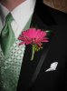 April 2010 394.jpg