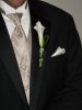 April 2010 518.jpg