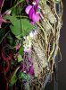 100_2261.jpg