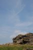 DSC_6313.jpg DSC_6313.jpg