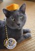 Kitters-with-Packer-gear.jpg Kitters-with-Packer-gear.jpg