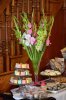 Tiffanie's-shower-dessert-t.jpg Tiffanie's-shower-dessert-t.jpg