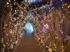 50 ft arch of lights.jpg