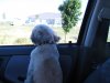 IMG_0480.JPG IMG_0480.JPG