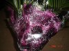 DSC00015.JPG