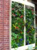 living wall art.jpg living wall art.jpg