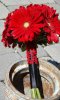 DSC_0024-4.jpg