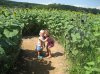 IMG_0733.jpg IMG_0733.jpg