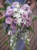Lavender Rose Waterfall.JPG