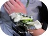 Kayla's wrist corsage Web.jpg