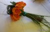 DSCN0274.JPG