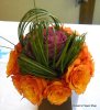 DSCN0273.JPG