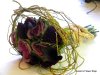 DSCN0280.JPG