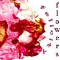felicityflowers