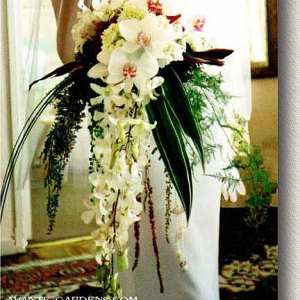 Wedding Bouquet - Contemporary Cascade