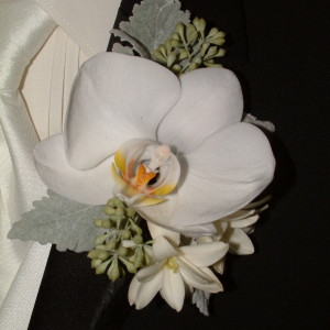 Grooms Boutonniere