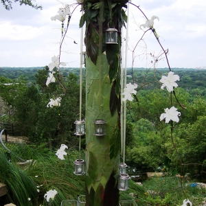 Flower Totem