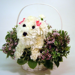 Dog Flowers