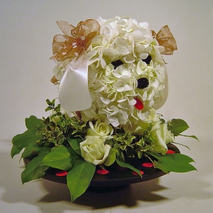 Flower Poodle