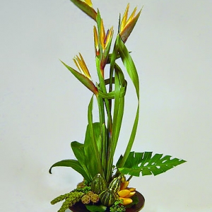 Birds of Paradise Arrangement