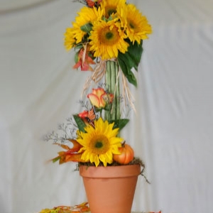 Sunflower Topiary