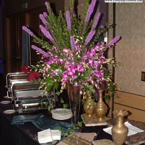 Liatris And Orchids