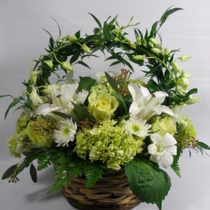green orchid basket