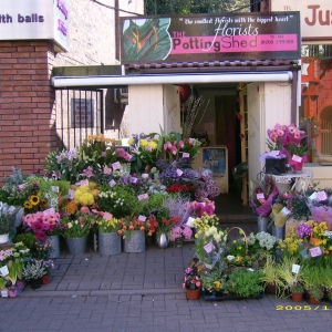 the potting shed shop