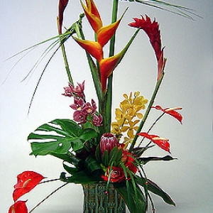 Avante Gardens - Tropical Arrangement with Woven Birds