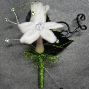 stephanotis bout