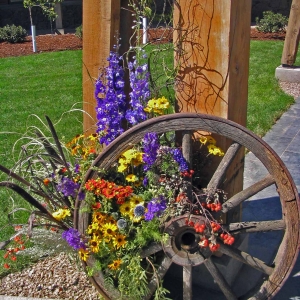 Western wagon wheel arrangement