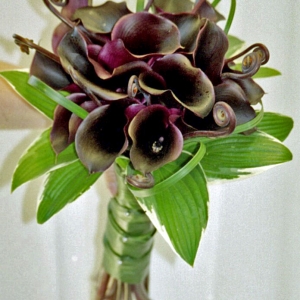 Purple calla wedding bouquet