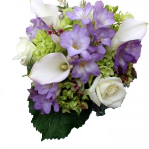 hydrangea-freesia-calla-clu