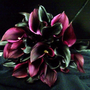 Dramatic Calla Lily Bouquet