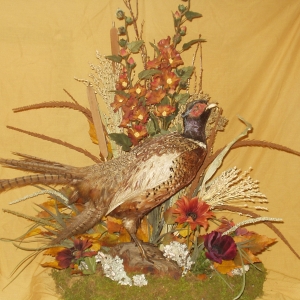 Maine Pheasant Arrangement in Permanent Botanicals