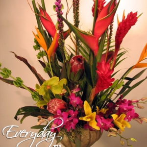 Exotic Tropical Flowers By Everyday Flowers
