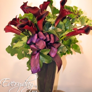 Black Calla Lilies Schwarzwalder Mini Calla Lily