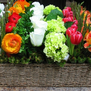 Gardeners basket