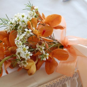 Hand tied orchids with waxflower