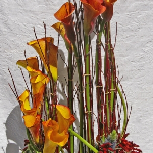 Art Gallery opening, Orange Calla Lily