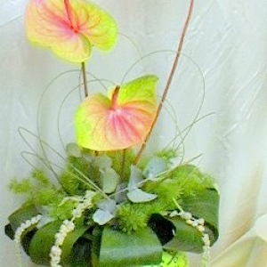 Lime Green Composition with Anthuriums & Amaranthus