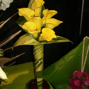 Ginger leaves and callas