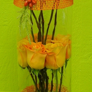 Wodoo roses in cylinder vase
