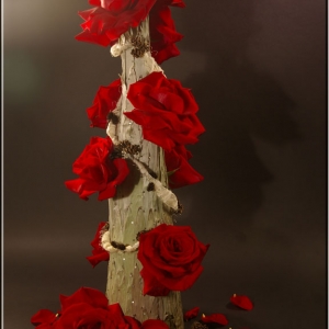 Red Roses on a Silver Leaf Tree