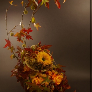 Fall Sunflowers